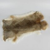 Konijnenvachten  width=