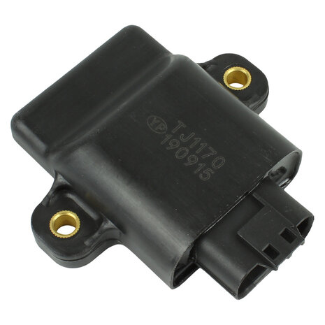 Cdi voor Yamaha 15 pk en 20 pk 4 takt - 6AH-85540-00 - foto 2