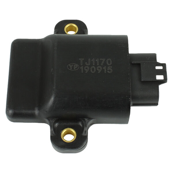 Cdi voor Yamaha 15 pk en 20 pk 4 takt - 6AH-85540-00 - foto 1