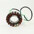 Stator Assy 6AH-85510-00 F20-05000200 geschikt voor Yamaha en Parsun 4-takt 15 en 20 pk