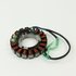 Stator Assy 6AH-85510-00 F20-05000200 geschikt voor Yamaha en Parsun 4-takt 15 en 20 pk