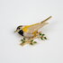 Oriole Vogel Broche Emaille foto 5