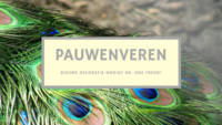 Nieuwe decoratie nodig? Nr. 1 trend! Nieuwe decoratie nodig? Nr. 1 trend!