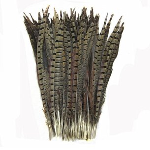 Fazant veren 10 stuks - 25 tot 30 cm